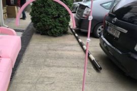 ანატომიის ნაკრები 9