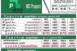 MS Project_პროჯექტი  