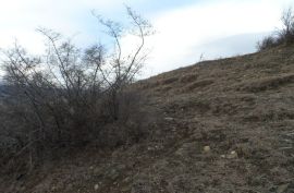 იყიდება, უძრავი ქონება, მიწის ნაკვეთები