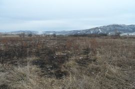 იყიდება, უძრავი ქონება, მიწის ნაკვეთები