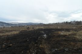 იყიდება, უძრავი ქონება, მიწის ნაკვეთები