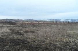 იყიდება, უძრავი ქონება, მიწის ნაკვეთები