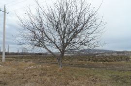 იყიდება, უძრავი ქონება, მიწის ნაკვეთები