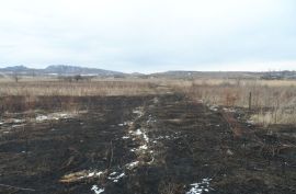 იყიდება, უძრავი ქონება, მიწის ნაკვეთები