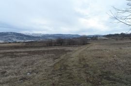 იყიდება, უძრავი ქონება, მიწის ნაკვეთები