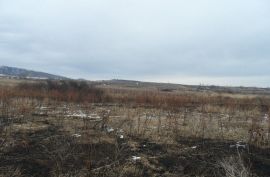 იყიდება, უძრავი ქონება, მიწის ნაკვეთები