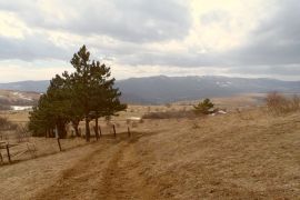 იყიდება, უძრავი ქონება, მიწის ნაკვეთები