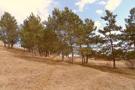 იყიდება, უძრავი ქონება, მიწის ნაკვეთები