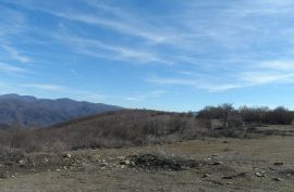 იყიდება, უძრავი ქონება, მიწის ნაკვეთები