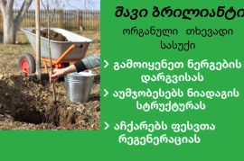 შავი ბრილიანტი ორგანული ბიო სასუქი