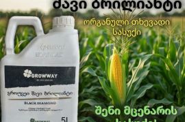 შავი ბრილიანტი ორგანული ბიო სასუქი
