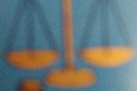 ადვოკატის მომსახურება უძრავი ქონების საქმეებზე.