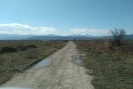 იყიდება, უძრავი ქონება, მიწის ნაკვეთები