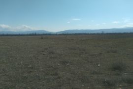 იყიდება, უძრავი ქონება, მიწის ნაკვეთები