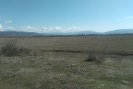 იყიდება, უძრავი ქონება, მიწის ნაკვეთები