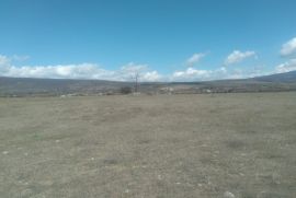 იყიდება, უძრავი ქონება, მიწის ნაკვეთები