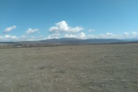 იყიდება, უძრავი ქონება, მიწის ნაკვეთები