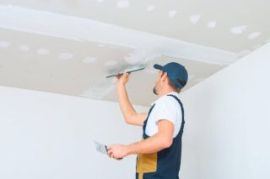 სამალიარო სამუშაოები