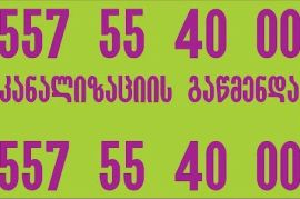 SANTEQNIKI GAMODZAXEBIT FASI 557 55 40 00