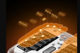 ფეხის აბაზანის ვედრო მასაჟორი, დასაბანად, გათბობით