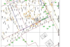 აზომვითი ნახაზები და ტოპოგრაფია ქობულეთში