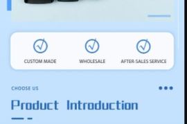 25ც კომპლექტი ჩანთის გვერდითი პლასტმასის ბალთები, 