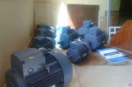 ელექტრო ძრავა