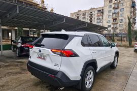 Auto / Moto, Special Equipment, Cars, Toyota, RAV4