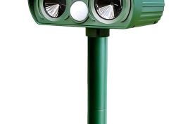 ✅ ფრინველების, ცხოველების და ქვეწარმავლების ულტრაბ