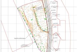 აზომვითი ნახაზები და ტოპოგრაფია ბაკურიანში