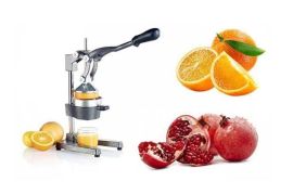 ✅️ბროწეულის და ციტრუსის პროფესიონალური წვენსაწური.