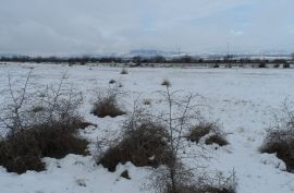 იყიდება, უძრავი ქონება, მიწის ნაკვეთები