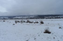 იყიდება, უძრავი ქონება, მიწის ნაკვეთები