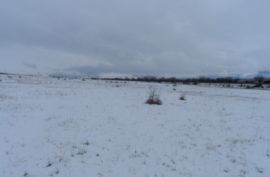 იყიდება, უძრავი ქონება, მიწის ნაკვეთები