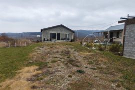 For Sale, Real Estate, Houses / Cottages, Zakaro