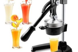 ✅️ბროწეულის და ციტრუსის პროფესიონალური წვენსაწური.