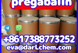 China Factory Price Pregabalin powder Cas 148553-5