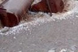 ბალკა (გასადები ხიდის ბალკები) 21 მეტის. 