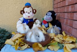 სასაჩუქრე სახლის დეკორატიული ჯუჯა(კარლიკი) ბაჭიები