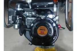 ქირავდება ,,კენგურუ,, დღიურად