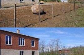 ტუია სმარაგდა 