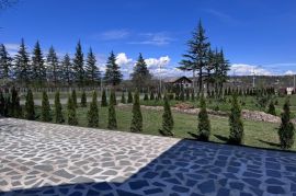 ტუია სმარაგდა 