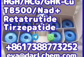 China Factory Tirzepatide raw material 2023788-19-
