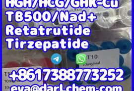 China Factory Tirzepatide raw material 2023788-19-