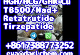 China Factory Tirzepatide raw material 2023788-19-