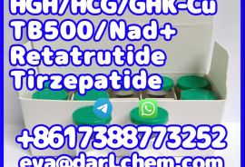 China Factory Tirzepatide raw material 2023788-19-