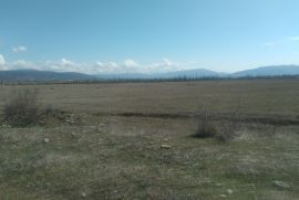 იყიდება, უძრავი ქონება, მიწის ნაკვეთები