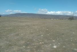 იყიდება, უძრავი ქონება, მიწის ნაკვეთები