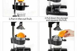 ✅️ბროწეულის და ციტრუსის პროფესიონალური წვენსაწური.