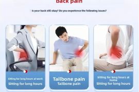 ერგონომიული სკამი საოფისე Cuion Barest Pad წელის ს